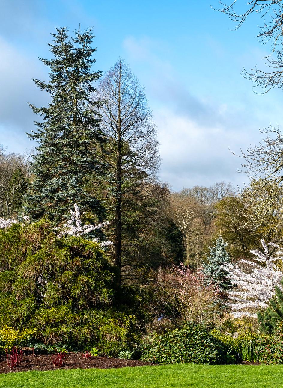 Gardens
