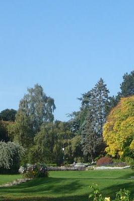 Valley Gardens