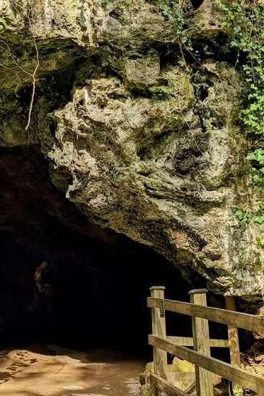 Mother Shipton's Cave and The Petrifying Well